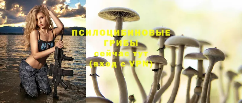 Галлюциногенные грибы MAGIC MUSHROOMS  Шахты 